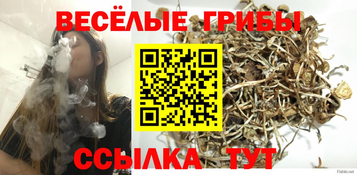 Псилоцибиновые грибы ЛСД Ессентуки