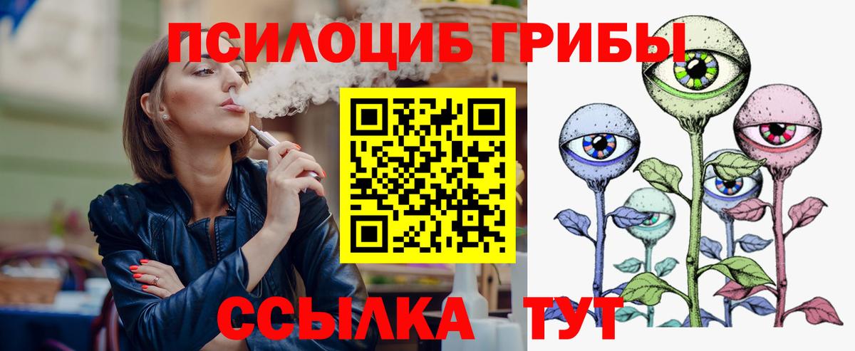 Ессентуки  Псилоцибиновые грибы мухоморы  Вход с VPN 